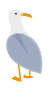 seagull.png